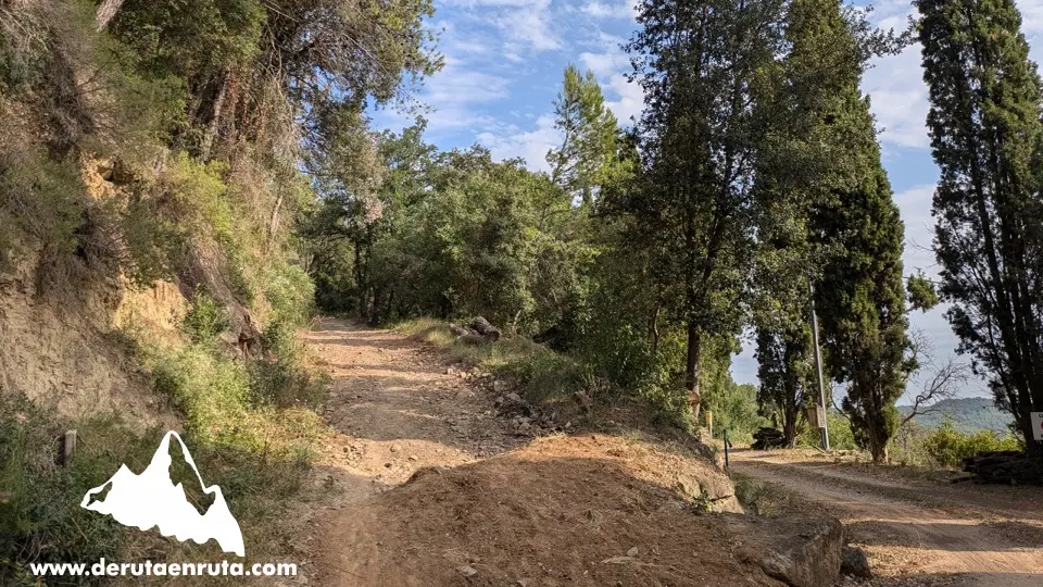 
Desvío de la pista forestal
