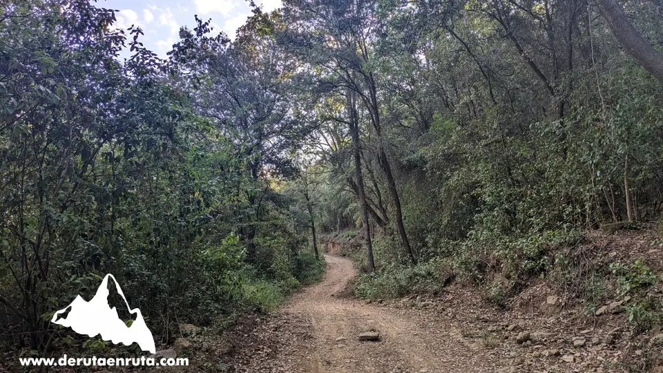 
Continuamos subiendo hacia la cima