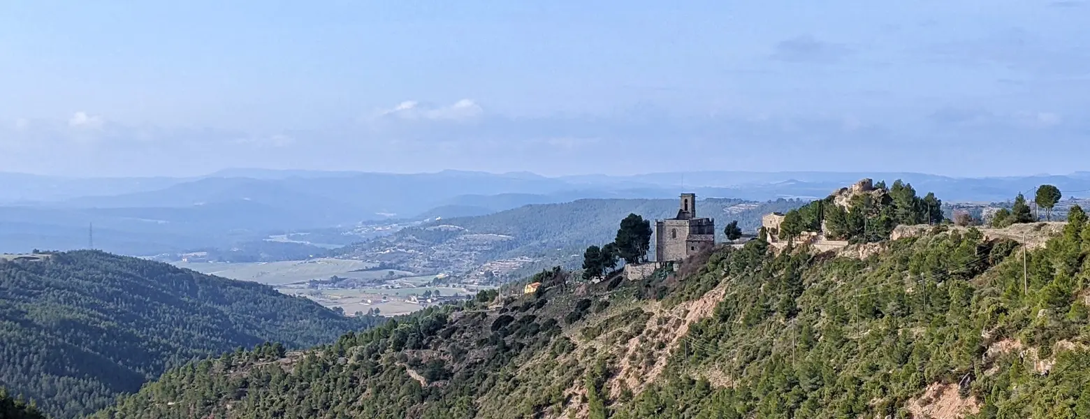Puig de Sant Miquel des de Rubió